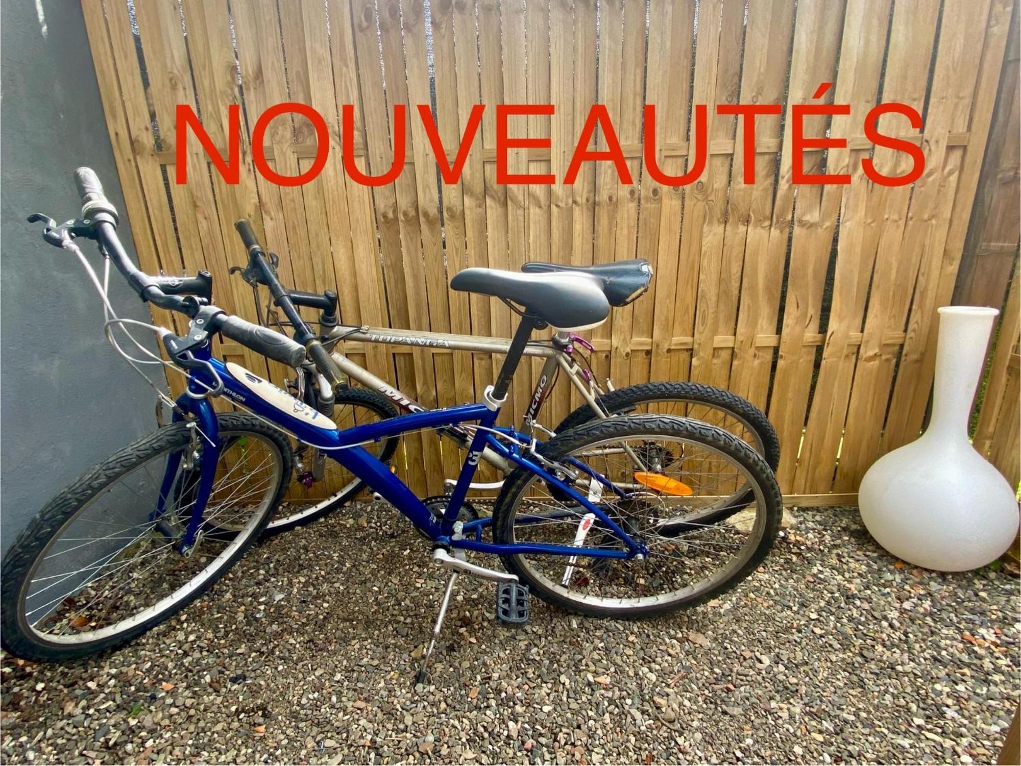 Petite Maison Au Calme Avec Jardin Cloture Les Animaux Bienvenue Mollau Buitenkant foto